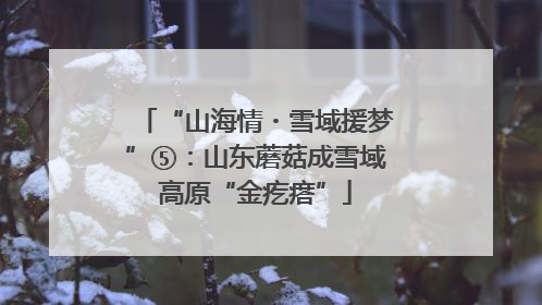 “山海情・雪域援梦”⑤：山东蘑菇成雪域高原“金疙瘩”
