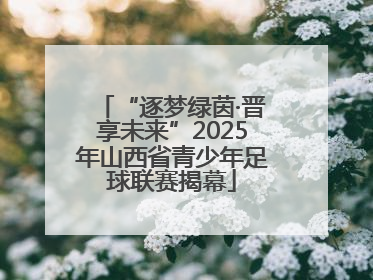“逐梦绿茵·晋享未来”2025年山西省青少年足球联赛揭幕