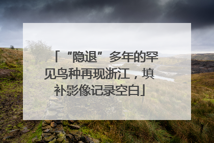 “隐退”多年的罕见鸟种再现浙江，填补影像记录空白