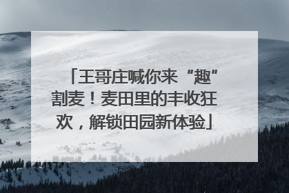 王哥庄喊你来“趣”割麦！麦田里的丰收狂欢，解锁田园新体验