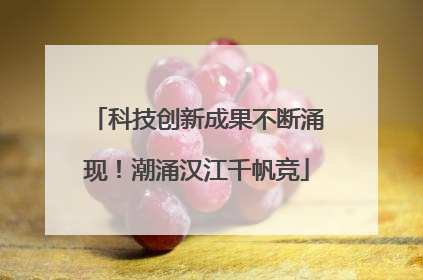 科技创新成果不断涌现！潮涌汉江千帆竞