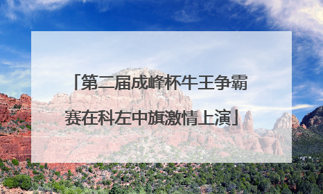 第二届成峰杯牛王争霸赛在科左中旗激情上演