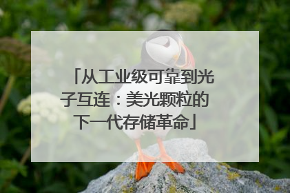 从工业级可靠到光子互连：美光颗粒的下一代存储革命
