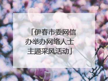 伊春市委网信办举办网络人士主题采风活动