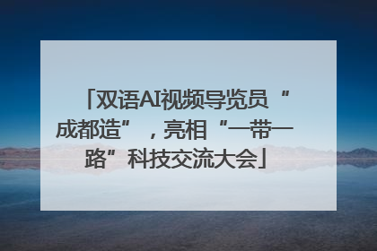 双语AI视频导览员“成都造”，亮相“一带一路”科技交流大会