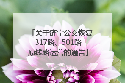 关于济宁公交恢复317路、501路原线路运营的通告