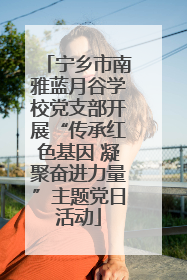 宁乡市南雅蓝月谷学校党支部开展“传承红色基因 凝聚奋进力量”主题党日活动