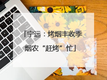 宁远：烤烟丰收季 烟农“赶烤”忙