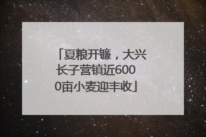 夏粮开镰，大兴长子营镇近6000亩小麦迎丰收