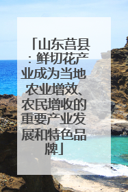 山东莒县：鲜切花产业成为当地农业增效、农民增收的重要产业发展和特色品牌