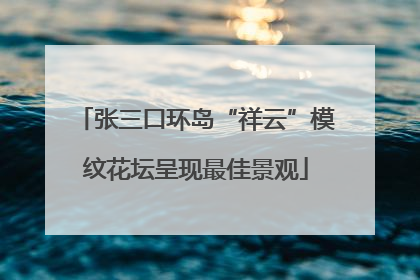 张三口环岛“祥云”模纹花坛呈现最佳景观