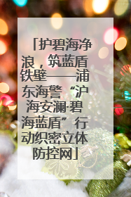 护碧海净浪，筑蓝盾铁壁——浦东海警“沪海安澜·碧海蓝盾”行动织密立体防控网