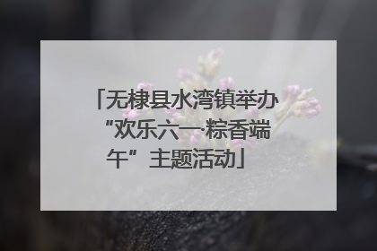 无棣县水湾镇举办“欢乐六一·粽香端午”主题活动