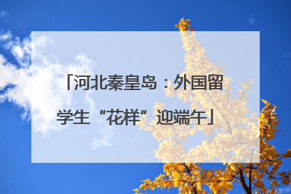 河北秦皇岛：外国留学生“花样”迎端午