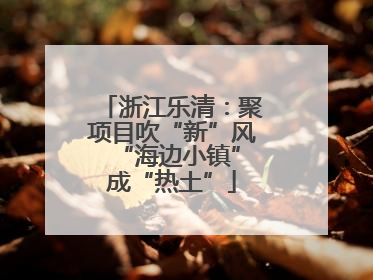 浙江乐清：聚项目吹“新”风 “海边小镇”成“热土”