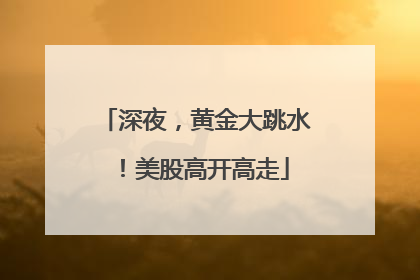 深夜，黄金大跳水！美股高开高走