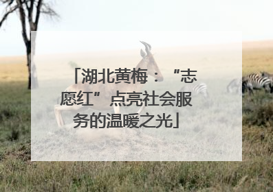 湖北黄梅：“志愿红”点亮社会服务的温暖之光