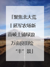聚焦北大荒丨延军农场新苗破土铺绿浪 万亩良田绘“丰”景