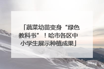 蔬菜幼苗变身“绿色教科书”！哈市各区中小学生展示种植成果
