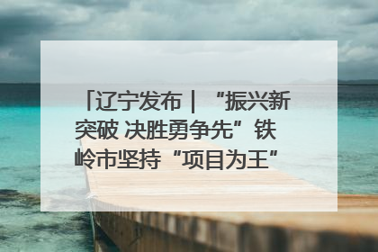 辽宁发布｜“振兴新突破 决胜勇争先”铁岭市坚持“项目为王”推进经济高质量发展