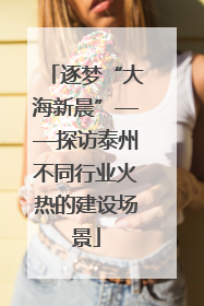 逐梦“大海新晨”——探访泰州不同行业火热的建设场景