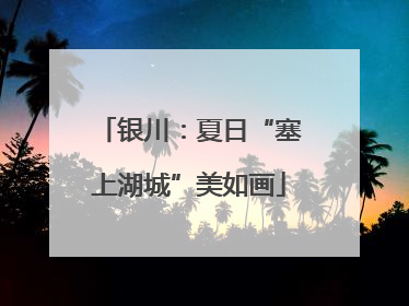 银川：夏日“塞上湖城”美如画