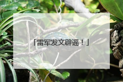 雷军发文辟谣！