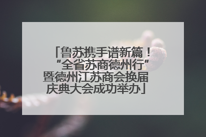 鲁苏携手谱新篇！“全省苏商德州行”暨德州江苏商会换届庆典大会成功举办