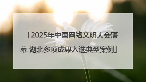 2025年中国网络文明大会落幕 湖北多项成果入选典型案例