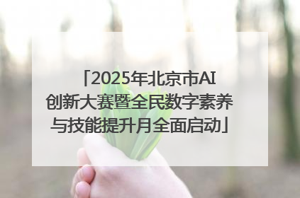 2025年北京市AI创新大赛暨全民数字素养与技能提升月全面启动